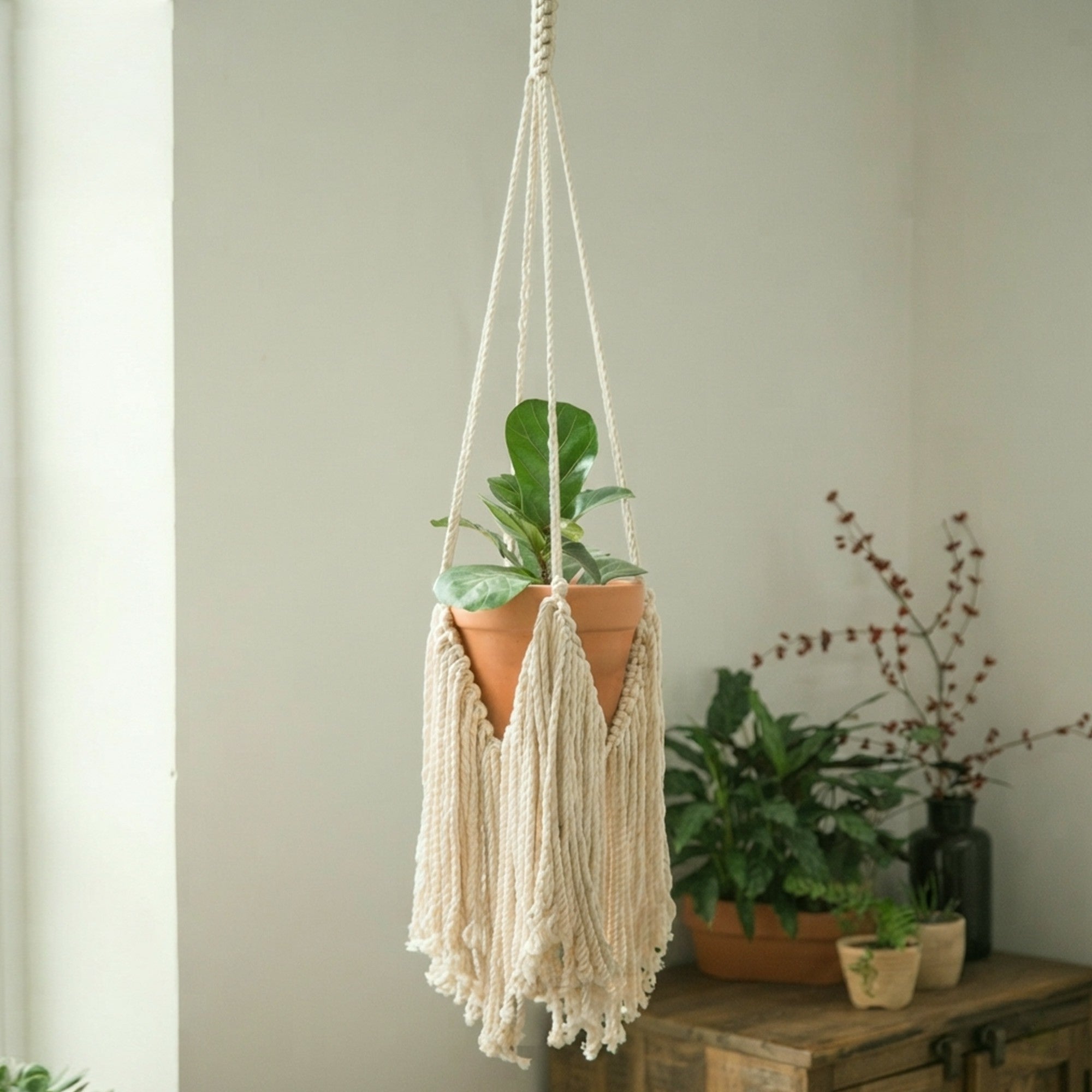Canopy hand-knotted cotton plant holder for indoor pots