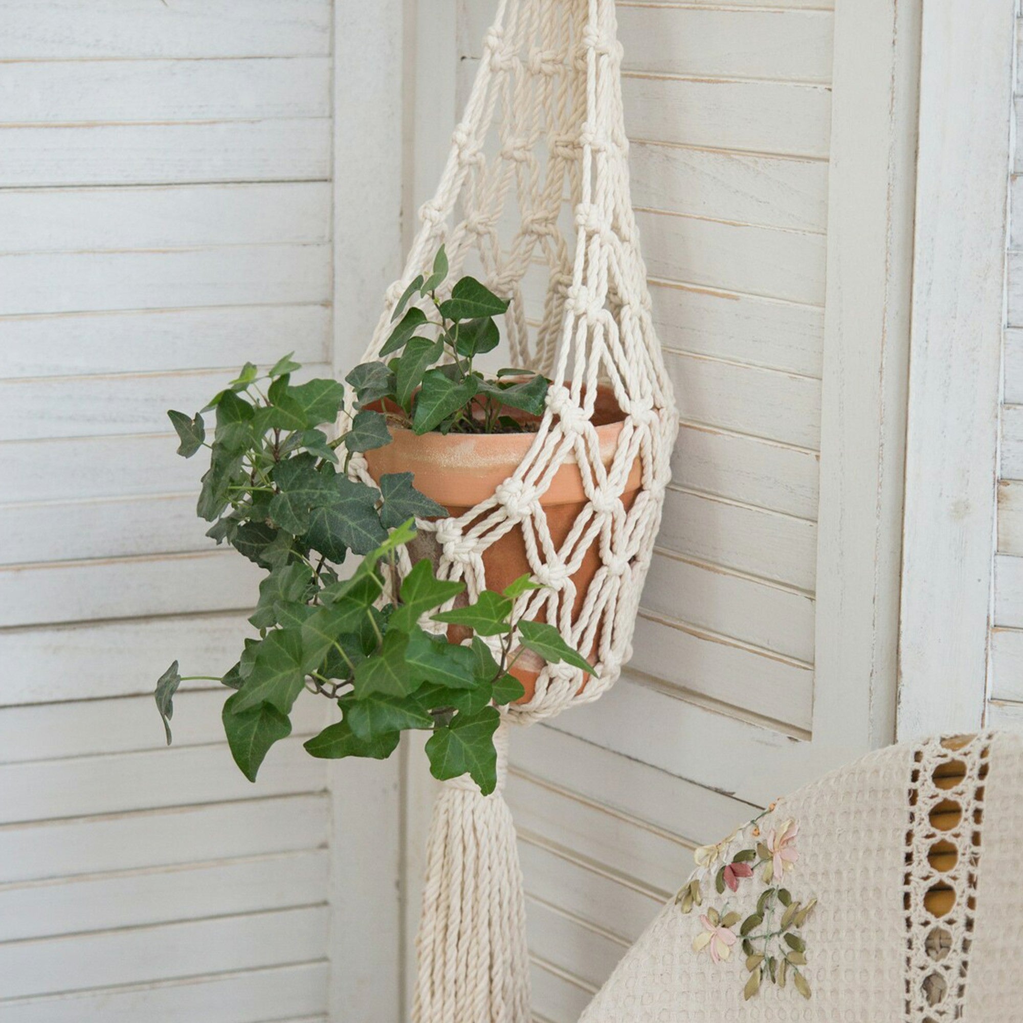 Canopy plant hanger styled beside a window