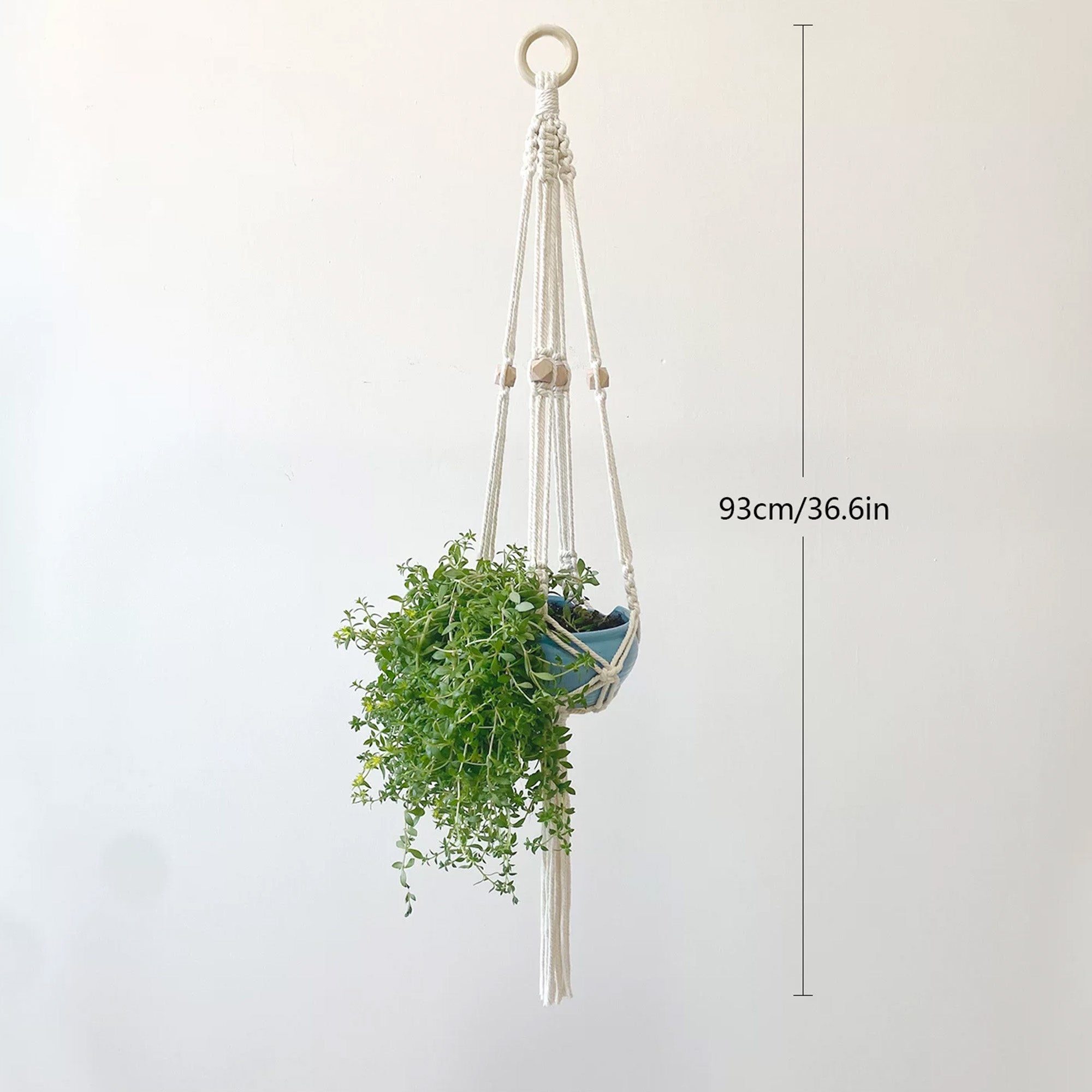Mini macrame hanger supporting a small succulent pot