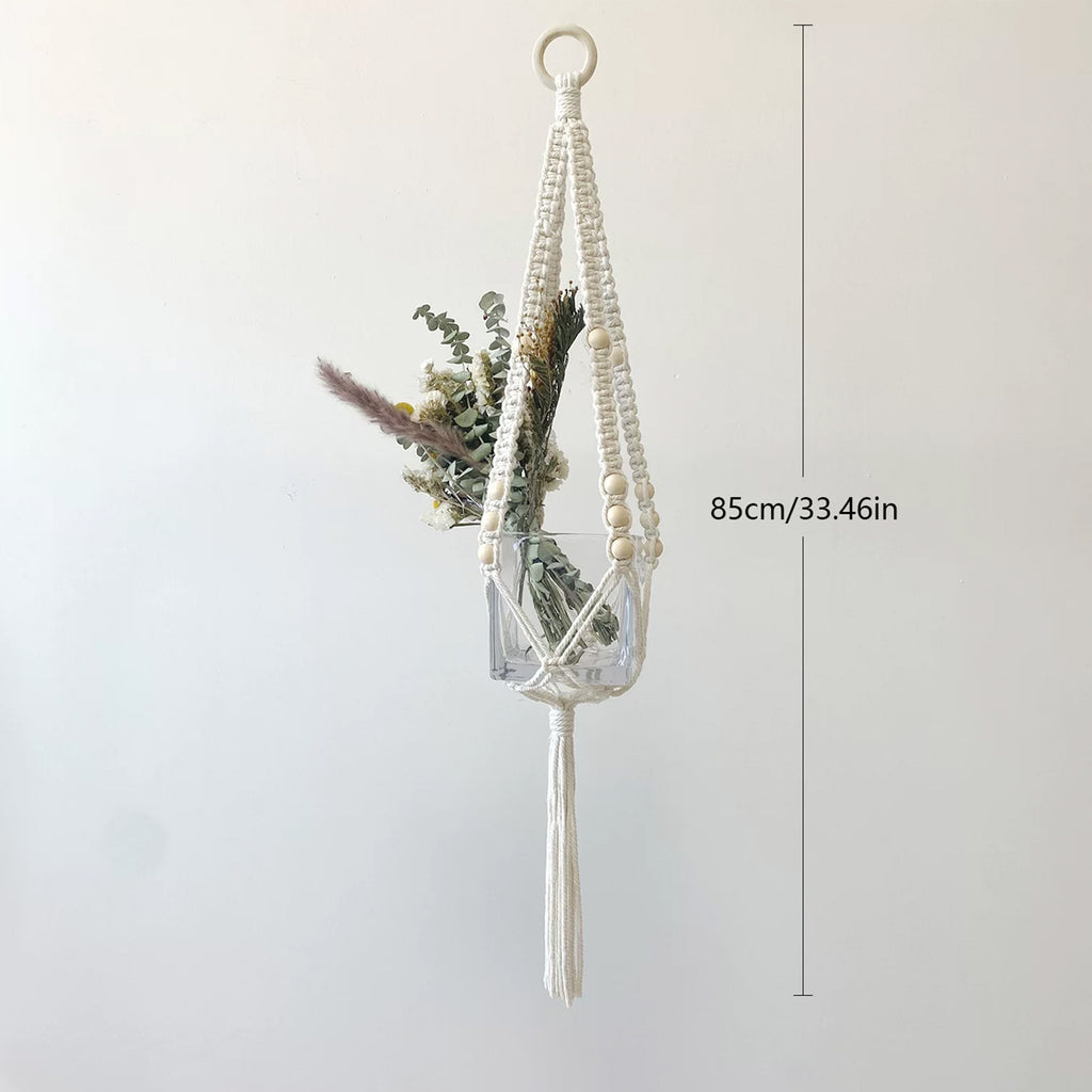 Sprout plant hanger styled in a small apartment window