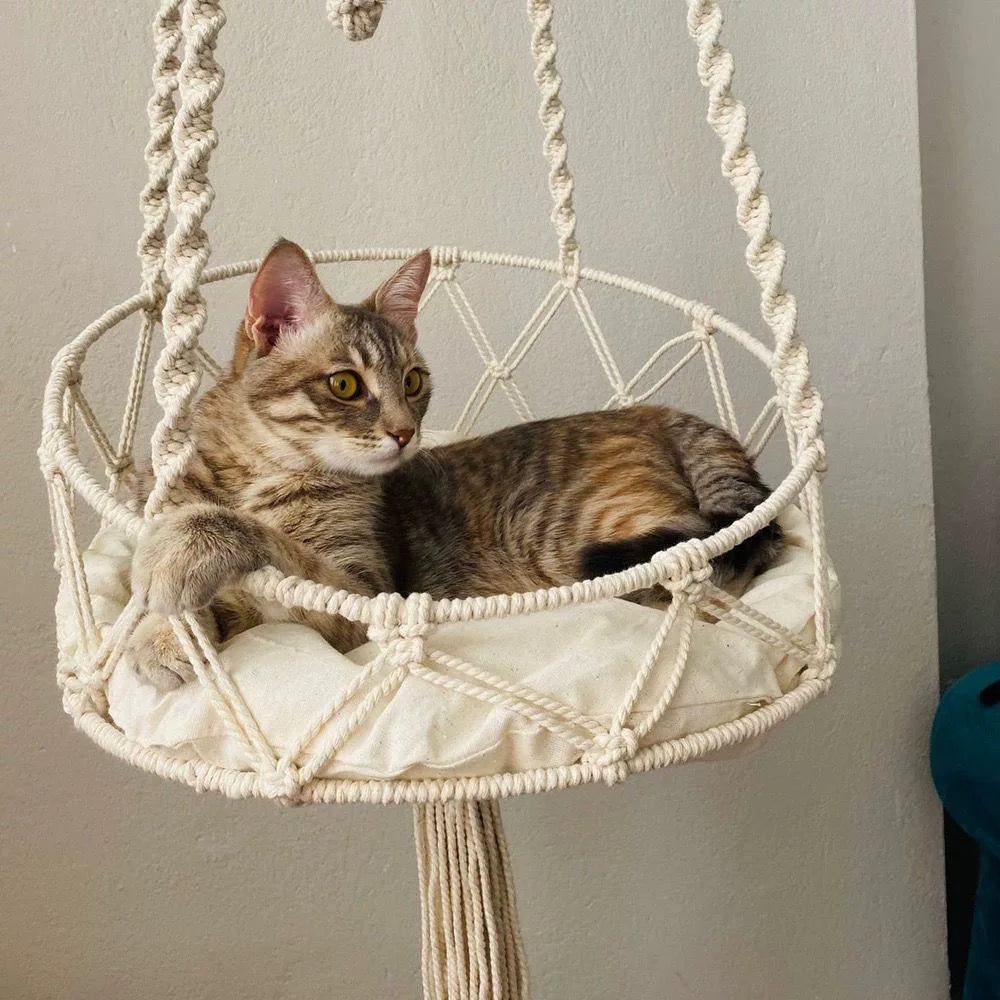 Nest macrame cat hammock styled beside a sunny window